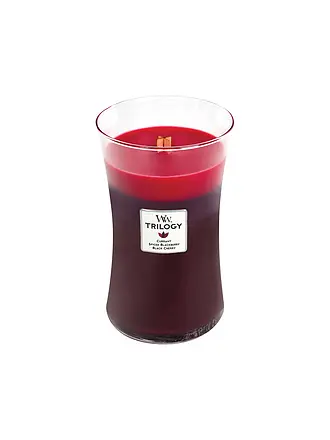 WOODWICK | Vela de reloj de arena con mecha crepitante de 454 g Trilogy Sun-Ripend Berries | 